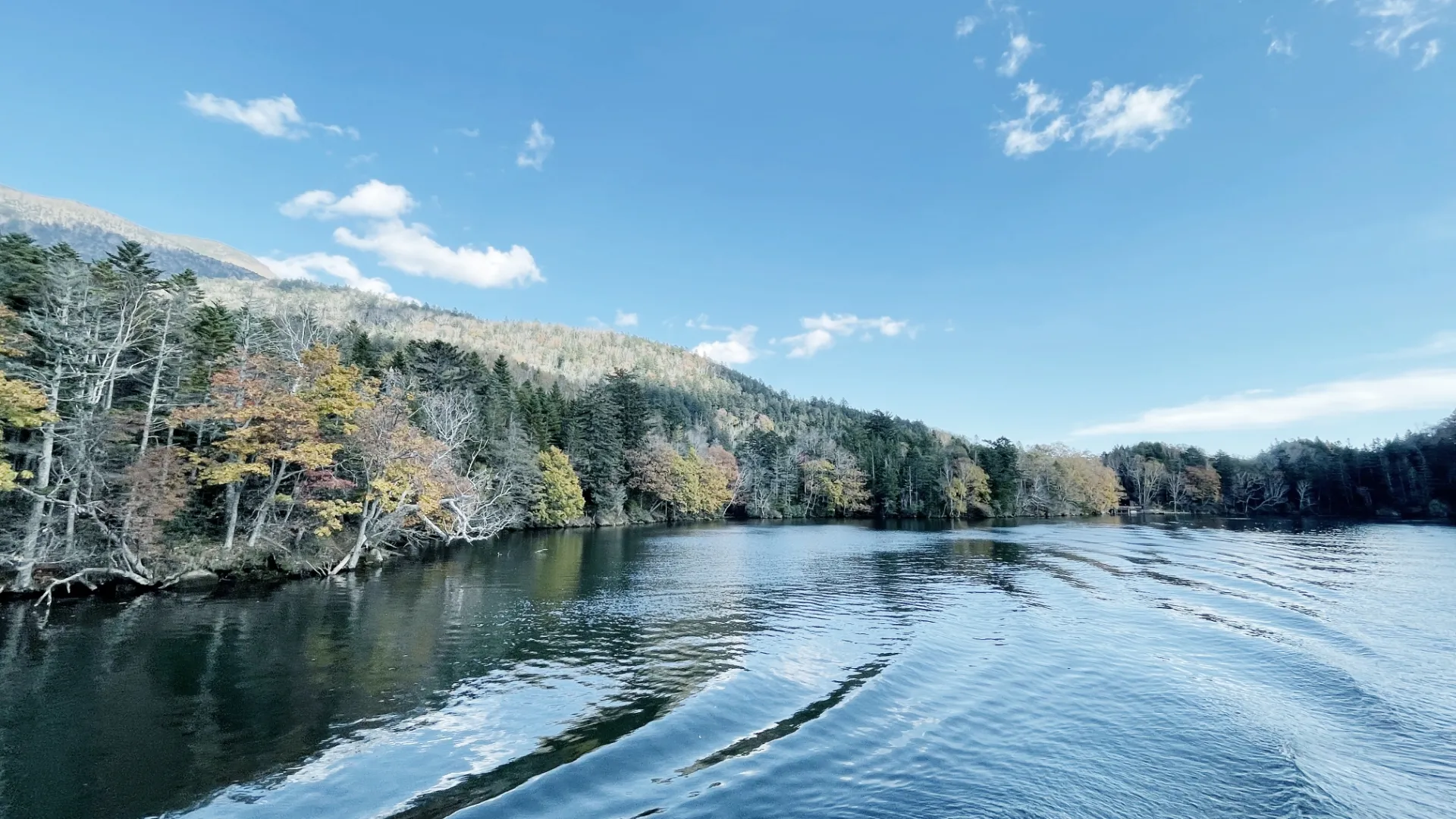 船から見える阿寒湖の風景