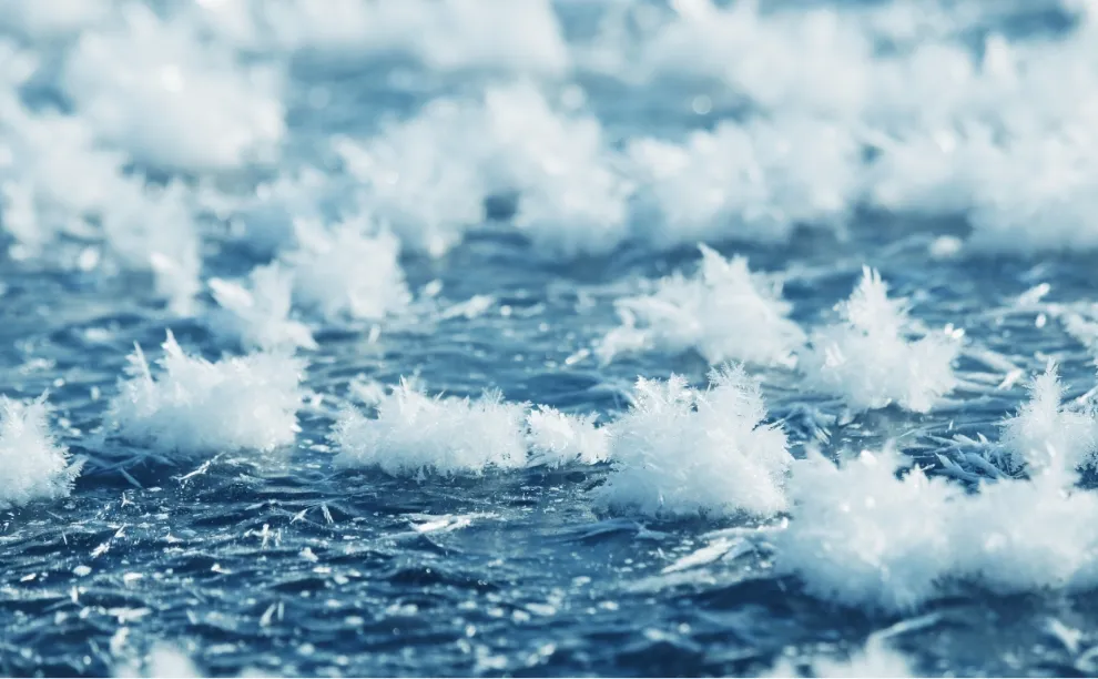 フロストフラワー1