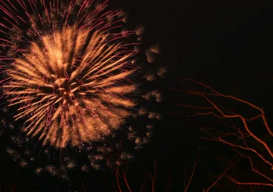 ireworks (Winter Hanabi)3