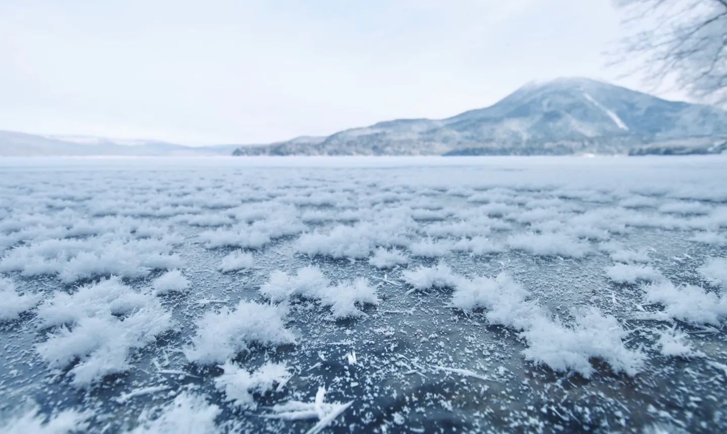 フロストフラワー