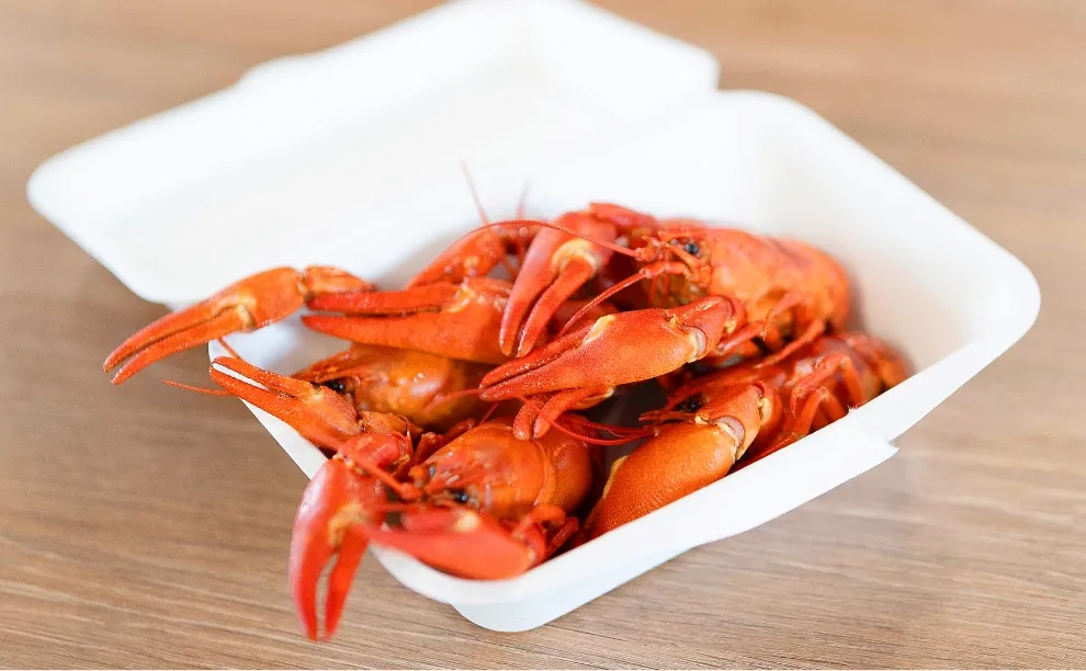 レイクロブスターの写真