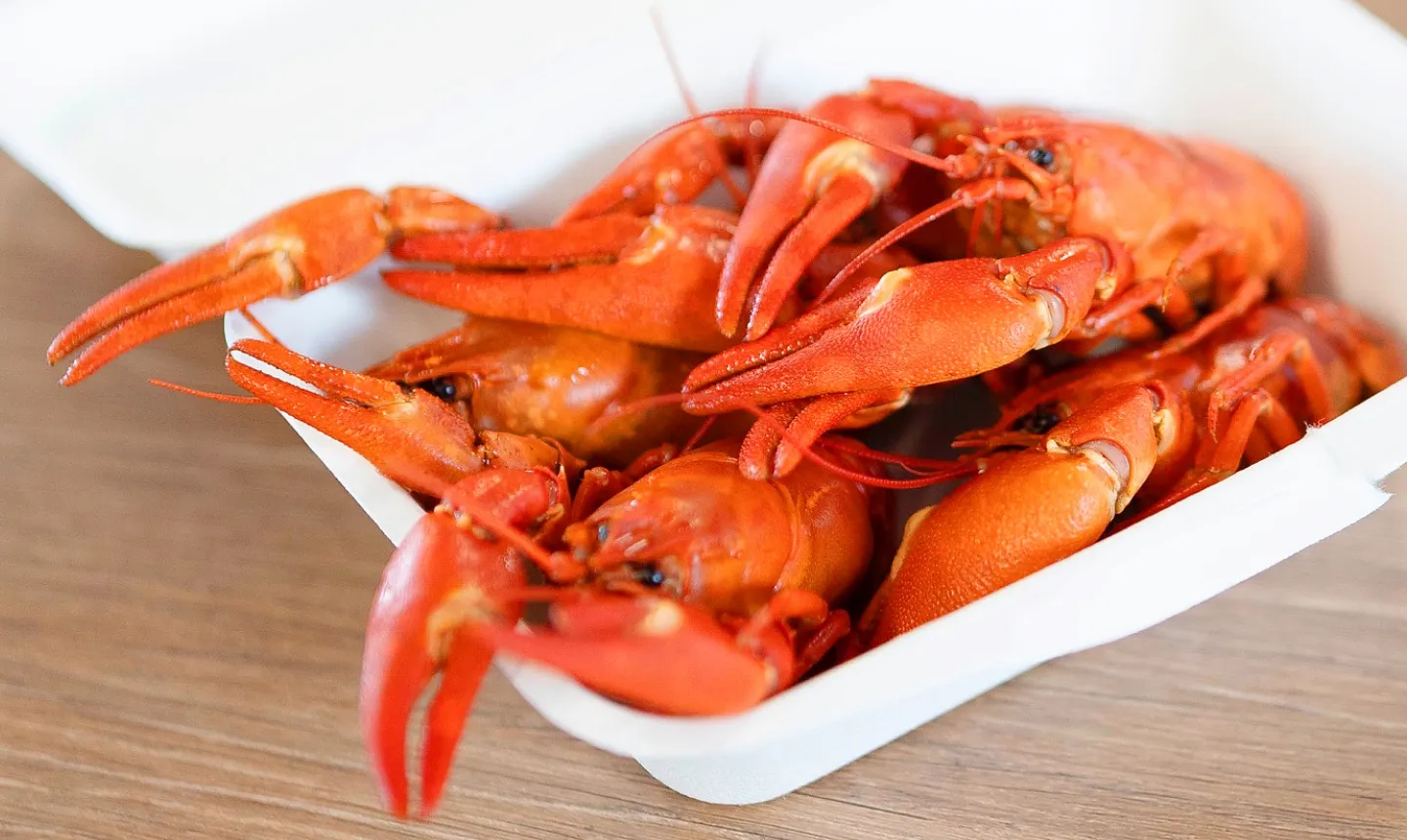 赤く茹で上がったレイクロブスター