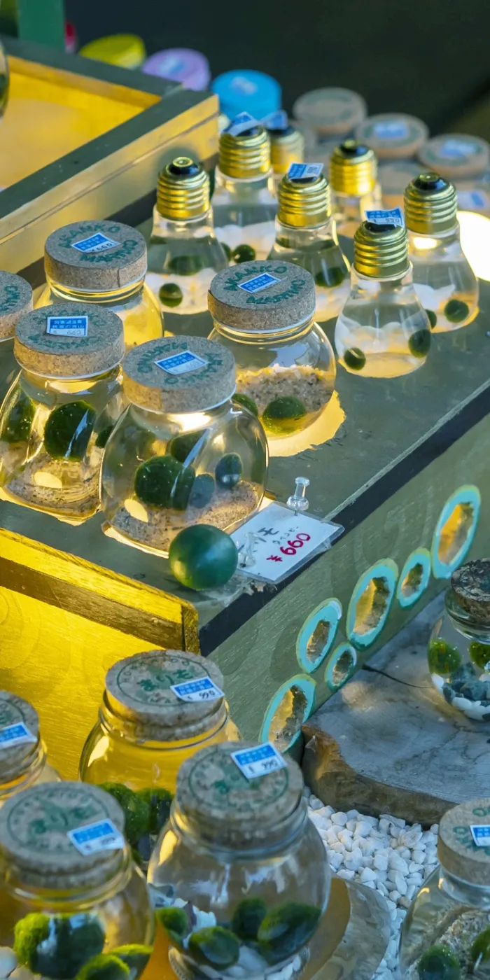 お土産のマリモ660円