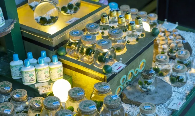 お土産のマリモ660円